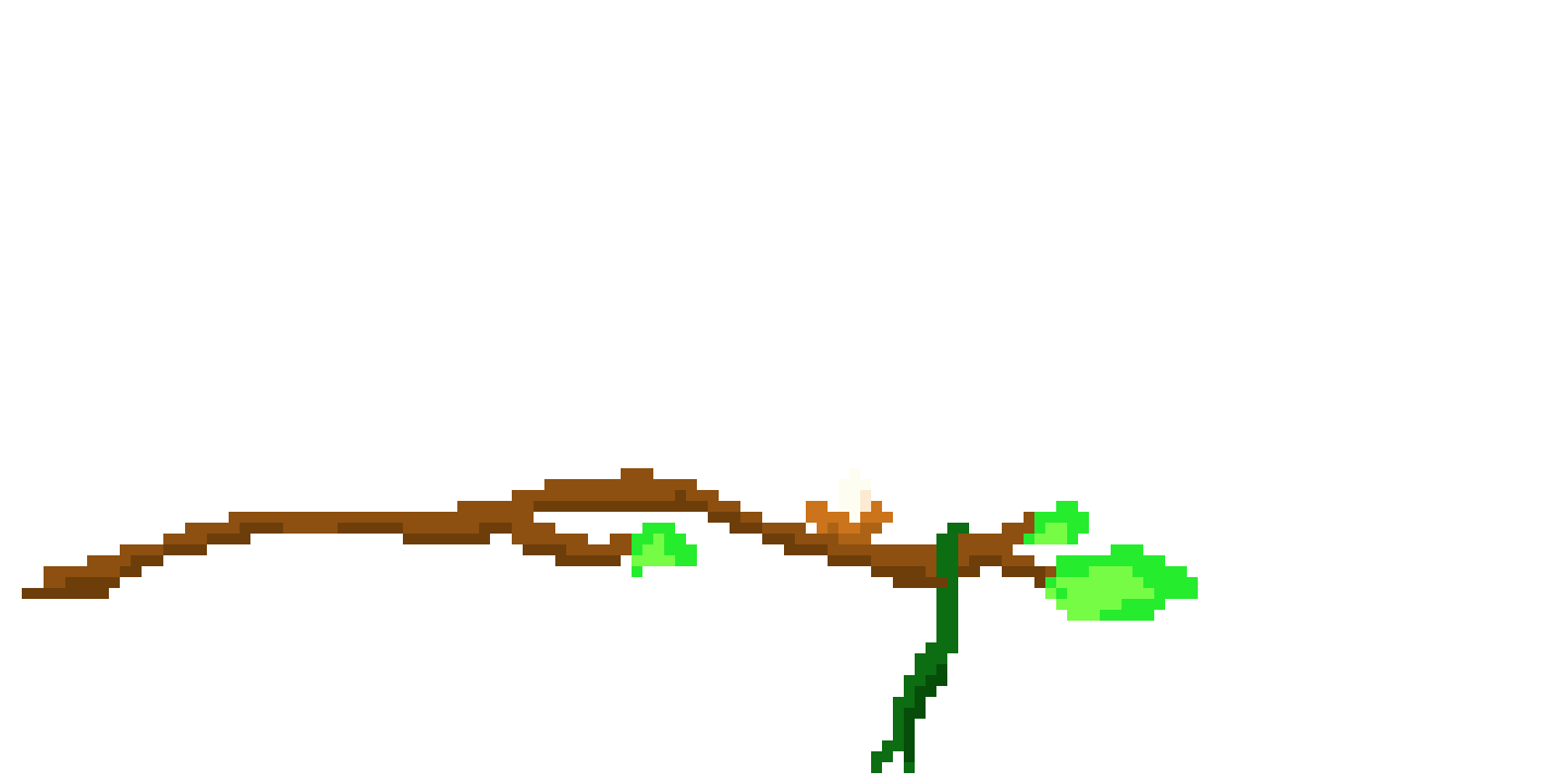 branch